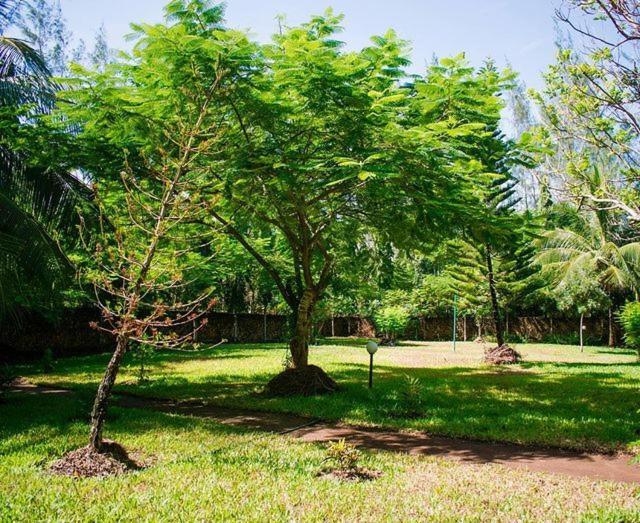 Kijani Cottages Diani Diani Beach Exterior foto